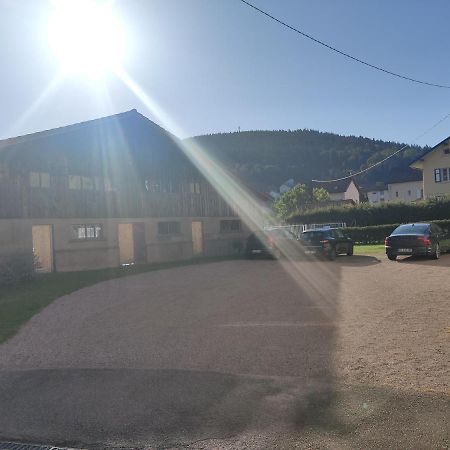 Apartmán Le Cozy Nest Gérardmer Exteriér fotografie